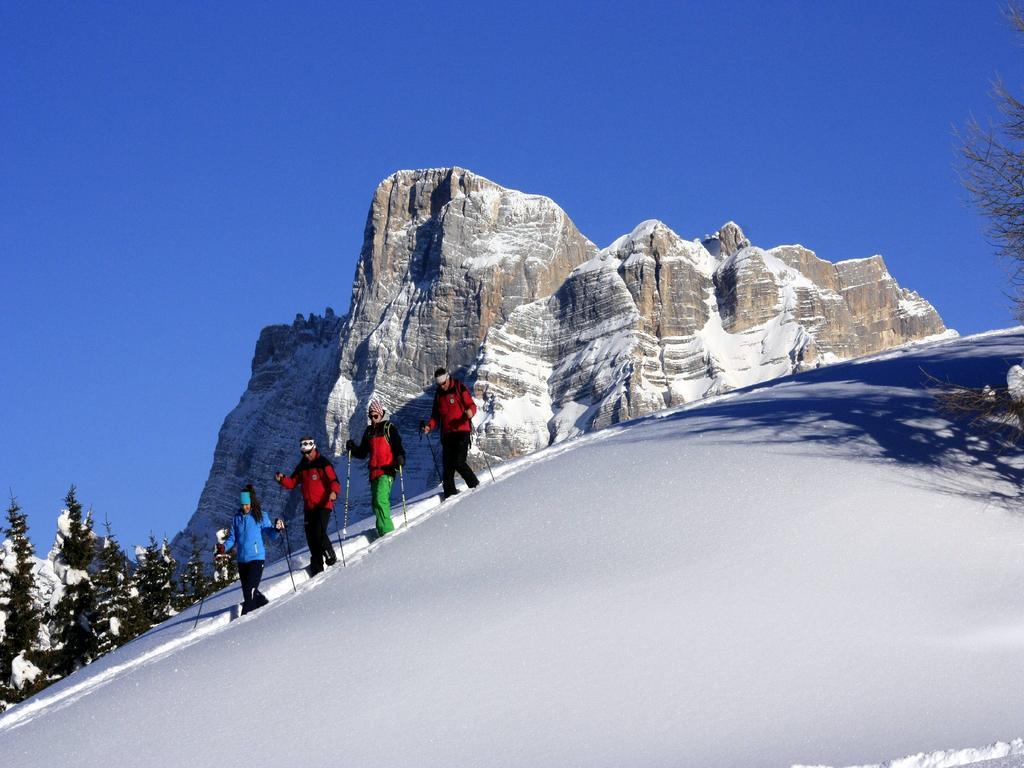 Appartement Centro Thule - Genziana à Selva di Cadore Extérieur photo