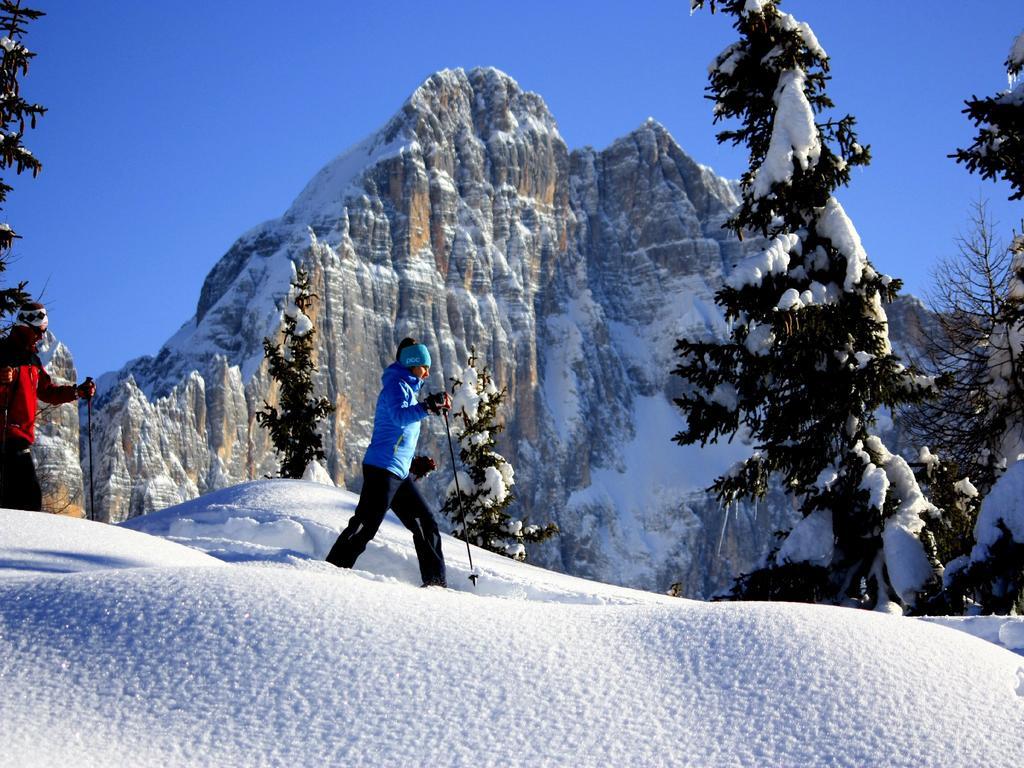 Appartement Centro Thule - Genziana à Selva di Cadore Extérieur photo